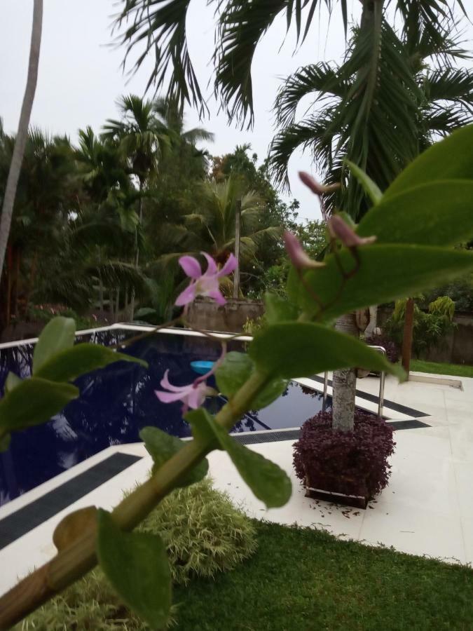 Maggona Colibri Villa מראה חיצוני תמונה